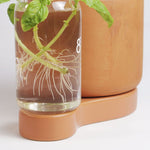 Greenfinity Terracotta