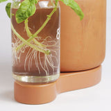 Greenfinity Terracotta